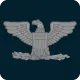 Navy Captain insignia